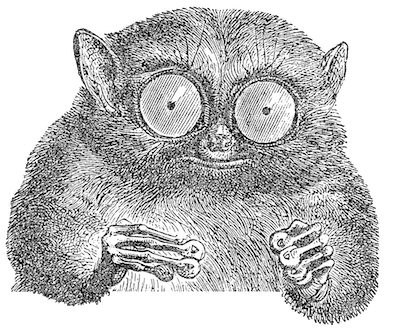 logo.gif